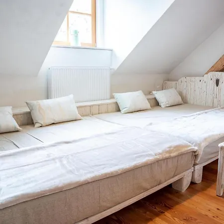 Apartment Trata Kranjska Gora