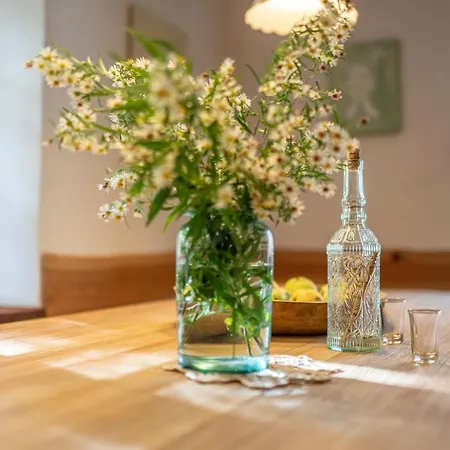 Trata Apartamento Kranjska Gora