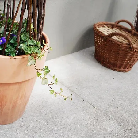 Trata * Краньска Гора