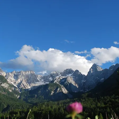 Trata Kranjska Gora