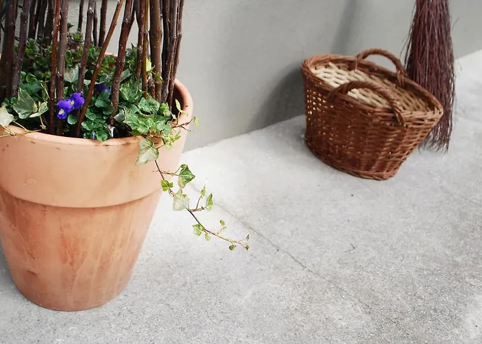 Trata * Краньска Гора