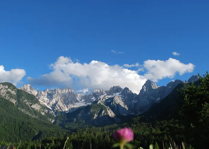 Trata Kranjska Gora