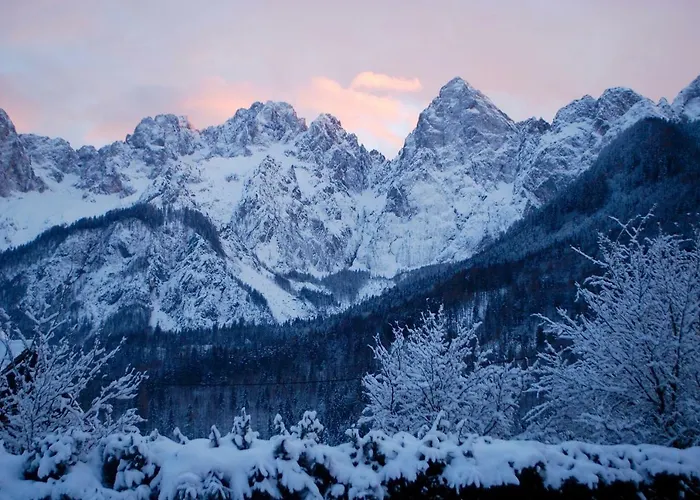 Apartma Trata Kranjska Gora